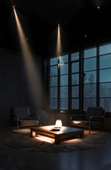 Silis Adjustable Downlight - Residence Supply