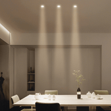 Silis Adjustable Downlight - Residence Supply