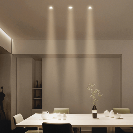 Silis Adjustable Downlight - Residence Supply