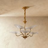 Skira Chandelier - Residence Supply