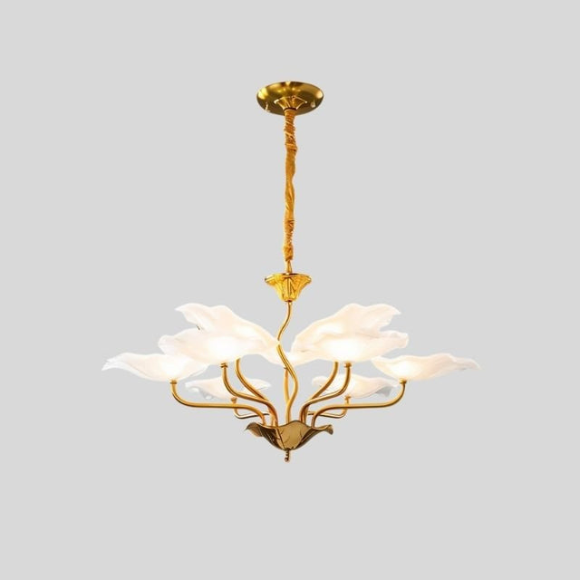 Skira Chandelier - Residence Supply