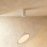 Skotia Pendant Light - Residence Supply