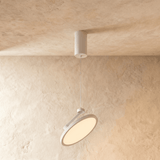 Skotia Pendant Light - Residence Supply