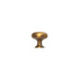 Brushed brass cabinet knob with mushroom shape on white background.