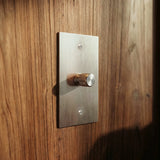 The Architectural Brass 3-Way Rotary Dimmer Switch (1 to 5 Gang) - Open Box - Residence Supply