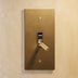 The Architectural Brass Toggle Switch (1 to 5 Gang) - Open Box - Residence Supply