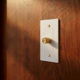 The Brass 3 - Way Rotary Dimmer Switch (1 to 5 Gang) - Residence Supply