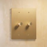 Two-gang light brass rotary dimmer switch with textured knobs, part of The Brass 3-Way Rotary Dimmer Switch Open Box collection.