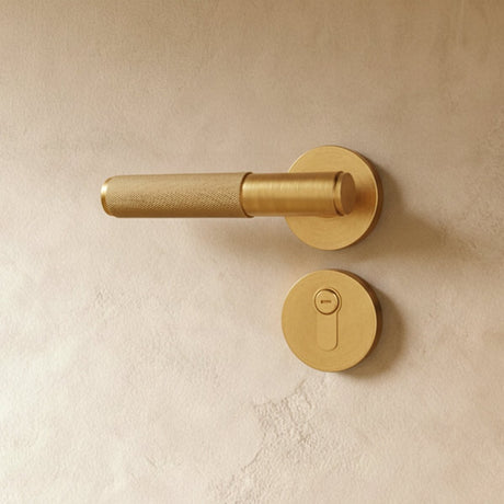 The Brass Door Handle - Open Box - Residence Supply