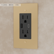 The Brass Outlet (1 to 4 Gang) - Residence Supply