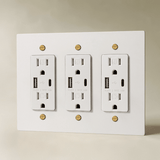 The Brass Outlet (1 to 4 Gang) - Open Box - Residence Supply