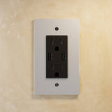 The Brass Outlet (1 to 4 Gang) - Open Box - Residence Supply