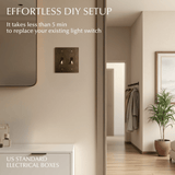 The Brass Plate (Vintage Brass With Patina) - Residence Supply