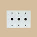 The Brass Rotary Dimmer Switch (1 to 4 Gang) - Residence Supply