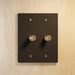 The Brass Rotary Dimmer Switch (1 to 5 Gang) - Open Box - Residence Supply