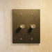 The Brass Rotary Dimmer Switch (1 to 5 Gang) - Open Box - Residence Supply