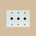 The Brass Rotary Dimmer Switch (3 - Way) (1 to 5 Gang) - Residence Supply