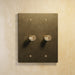 The Brass Rotary Dimmer Switch - Open Box - Residence Supply