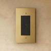 The Brass Telephone Socket (RJ11) (1-Gang)