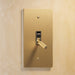 brass light switch