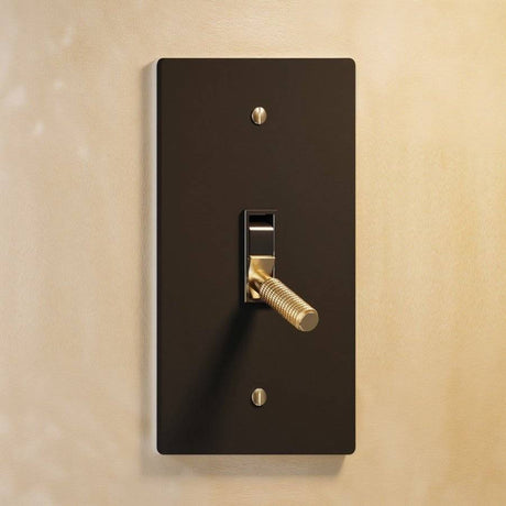 Single gang The Brass Toggle Switch (1 to 5 Gang) - Open Box in matte black with brass toggle, combining modern and classic design elements.