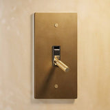 The Brass Toggle Switch (1 to 5 Gang) - Open Box in single gang configuration with a brushed brass plate and knurled toggle, ideal for luxury interiors.