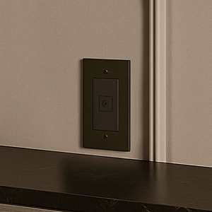 The Brass TV Socket (1-Gang))
