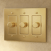 The Polished Brass Dimmer Switch - Residence Supply