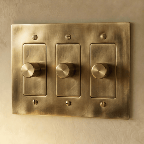 The Unlacquered Brass Dimmer Switch - Residence Supply