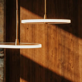 Themis Round Chandelier - Residence Supply