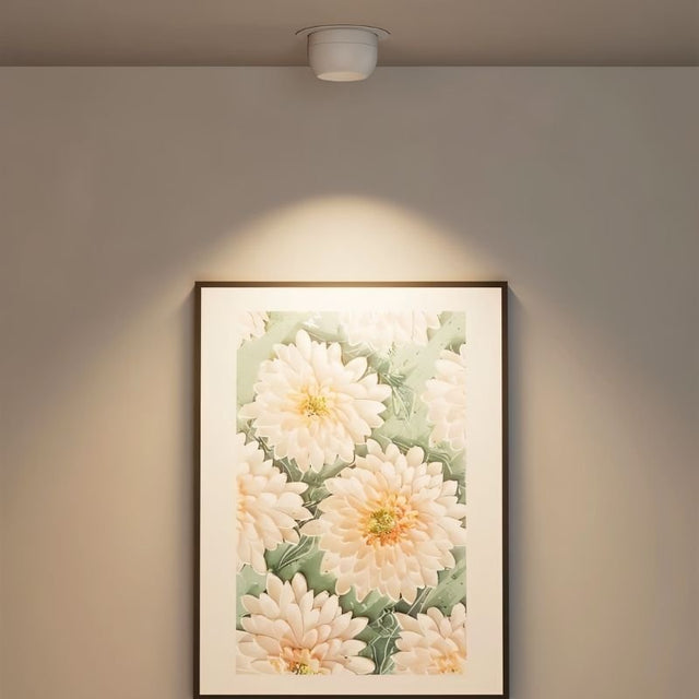 Trovix Downlight - Residence Supply