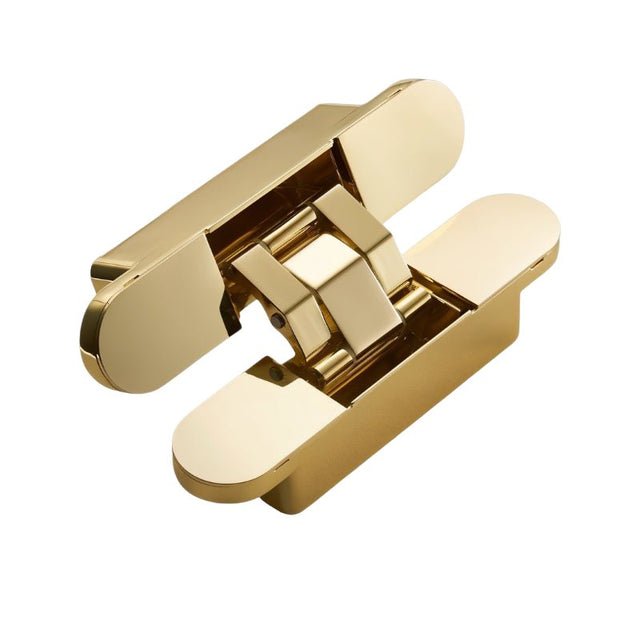 Tuarai Recessed Door Hinge
