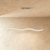 Venzor Pendant Light - Residence Supply