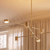 Virane Chandelier - Residence Supply