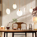 Zenqua Pendant Light - Residence Supply