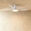 Zerua Ceiling Fan