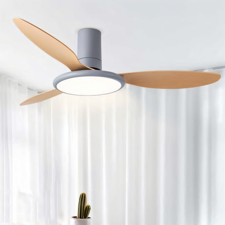 Zerua Ceiling Fan