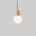 Zilus Pendant Light - Residence Supply