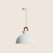 Zire Pendant Light - Residence Supply