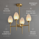 Zylin Chandelier - Residence Supply