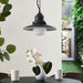 Zynaris Outdoor Pendant Light - Residence Supply