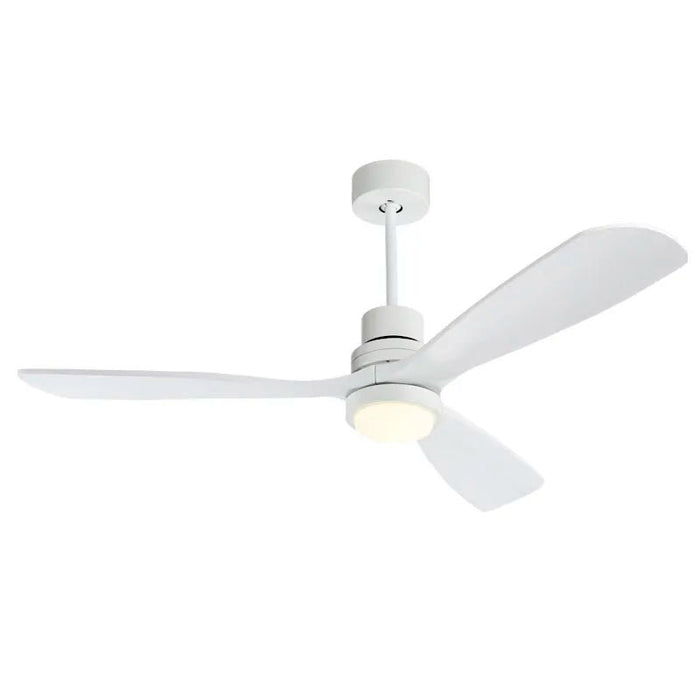 Crafted with modern design and superior functionality, the Anemone Ceiling Fan features sleek blades and a contemporary silhouette that complements various interior styles.