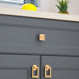 Aniva Knob & Pull Bar