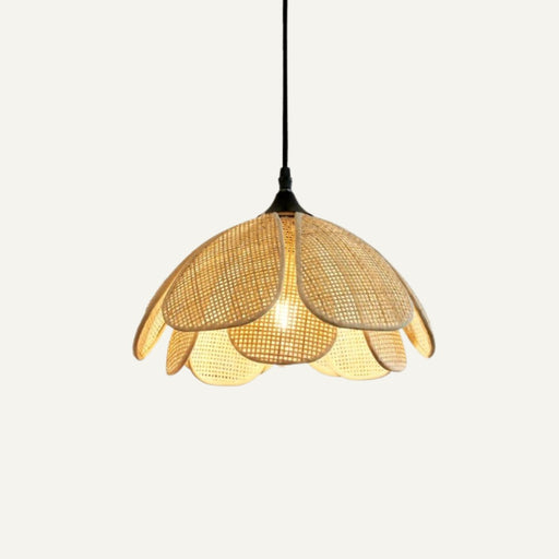 Introducing the Anthop Pendant Light: a modern and stylish lighting fixture that adds a touch of contemporary elegance to any space.