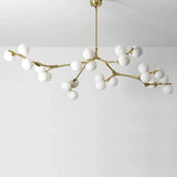 Astraia Chandelier Light