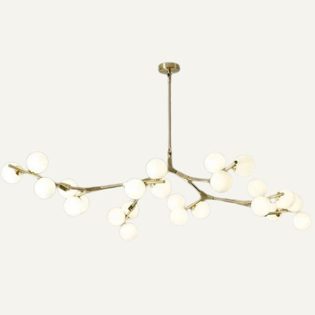 Astraia Chandelier Light