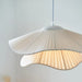 Colmi Pendant Light - Residence Supply