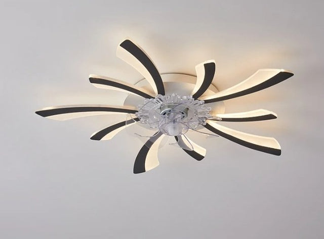 Lill Ceiling Light & Fan