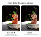 Meira Trimless LED Downlight