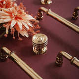 Vang Knob & Pull Bar